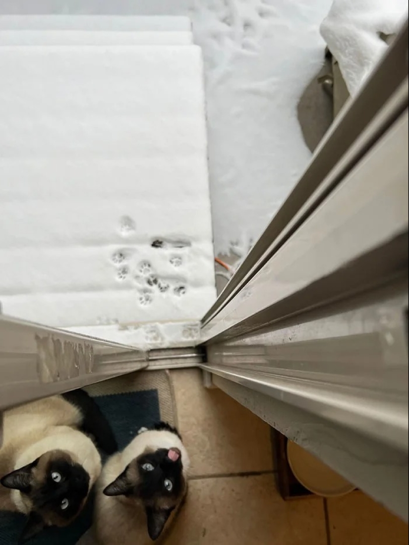 30 cold photos that clearly show the full power of the harsh winter