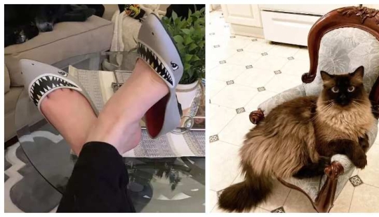 30 compras increíblemente exitosas en una tienda de segunda mano