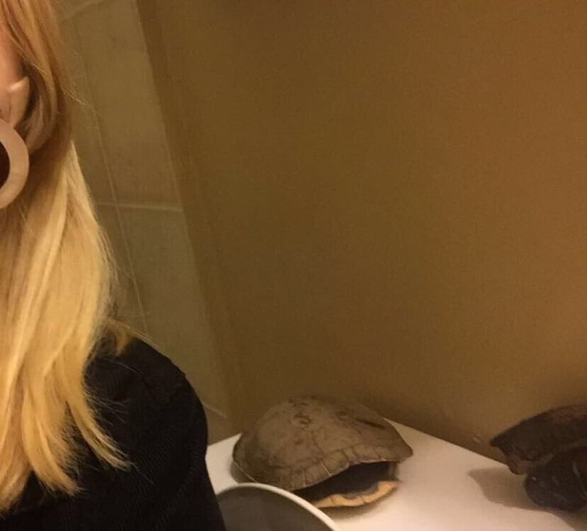 30 cosas extrañas que las niñas se encuentran en los hombres cuartos de baño y aseos