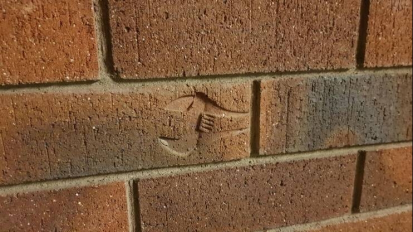 30 cosas inusuales y raras que nadie esperaba ver