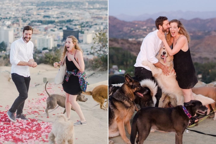 30 de las propuestas de matrimonio más locas y creativas