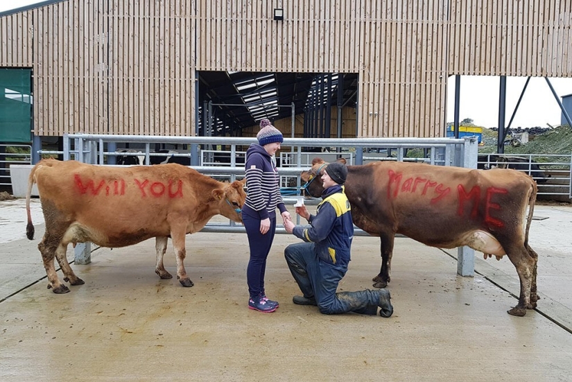 30 de las propuestas de matrimonio más locas y creativas