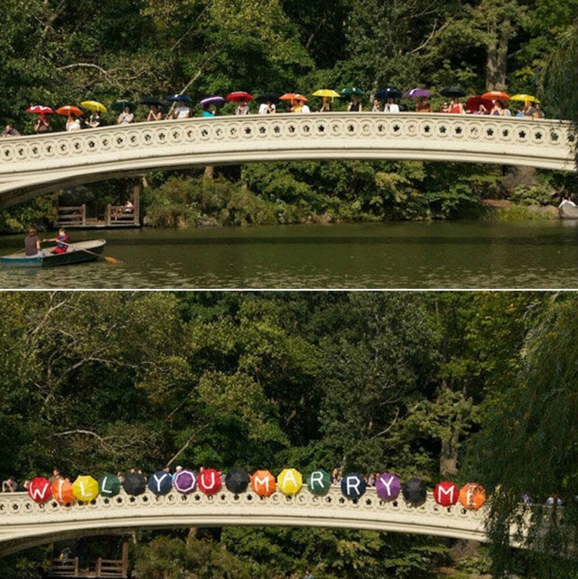 30 de las propuestas de matrimonio más locas y creativas