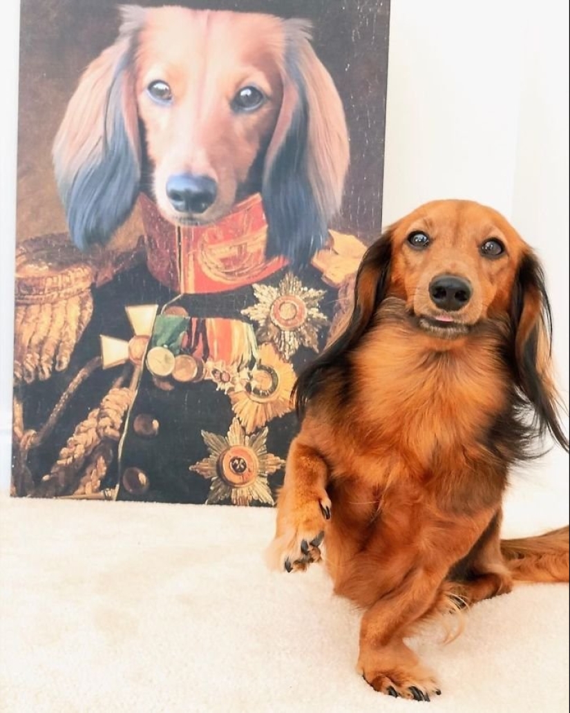 30 de Mascotas con sus retratos en el estilo de épocas pasadas