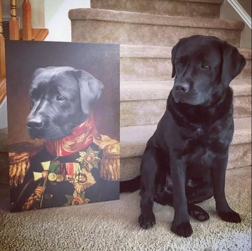 30 de Mascotas con sus retratos en el estilo de épocas pasadas