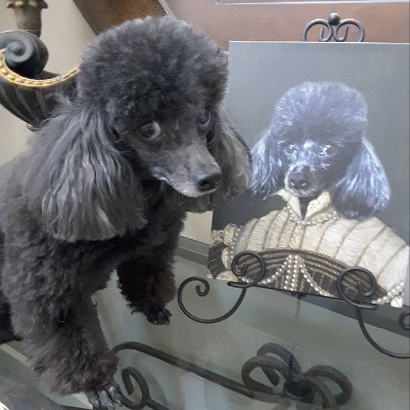 30 de Mascotas con sus retratos en el estilo de épocas pasadas