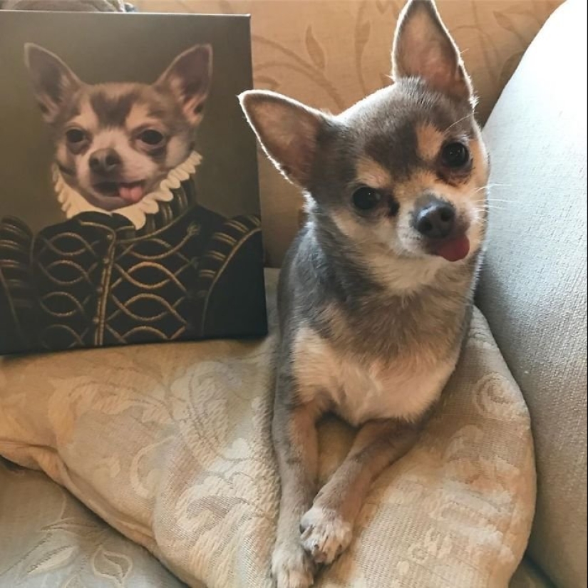 30 de Mascotas con sus retratos en el estilo de épocas pasadas