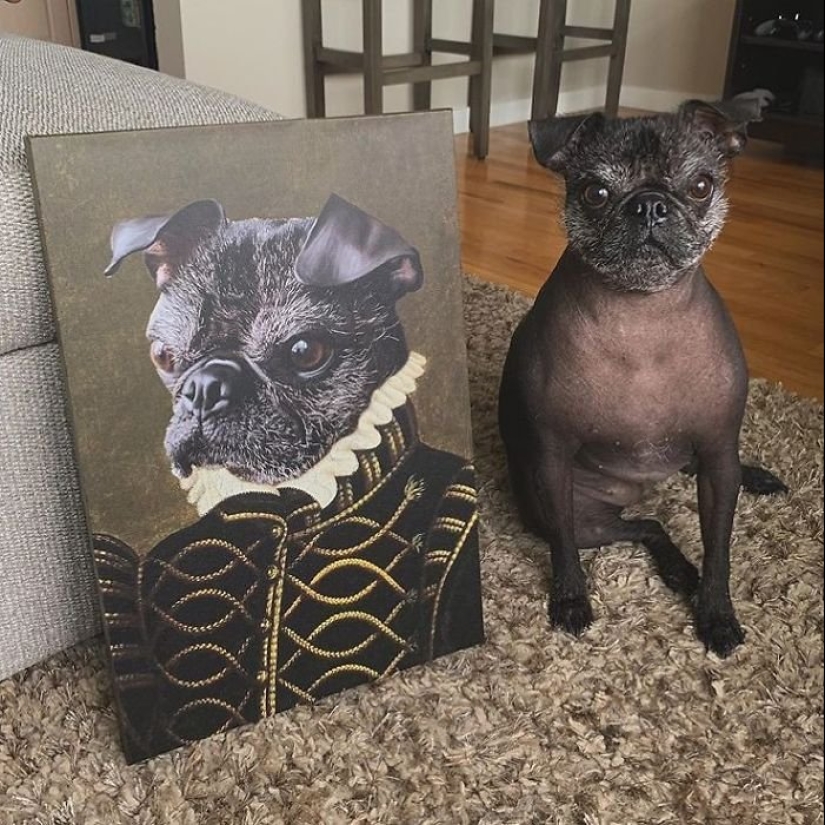 30 de Mascotas con sus retratos en el estilo de épocas pasadas