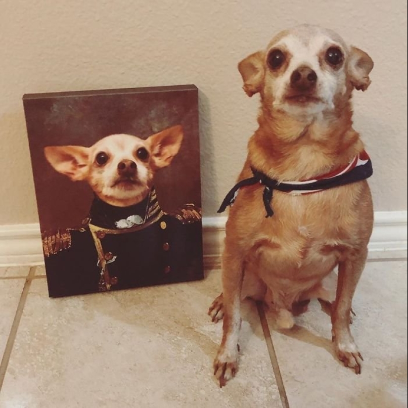 30 de Mascotas con sus retratos en el estilo de épocas pasadas