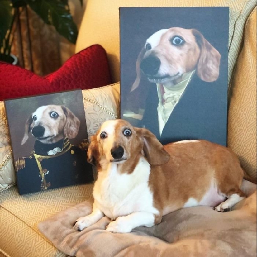 30 de Mascotas con sus retratos en el estilo de épocas pasadas