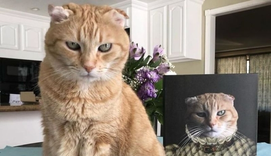 30 de Mascotas con sus retratos en el estilo de épocas pasadas