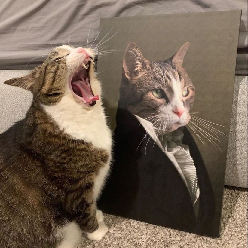 30 de Mascotas con sus retratos en el estilo de épocas pasadas