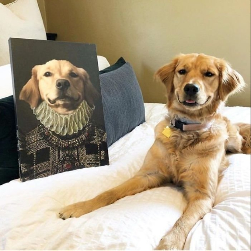 30 de Mascotas con sus retratos en el estilo de épocas pasadas