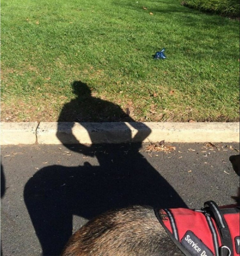 30 divertido fotos de las sombras que se ven como algo más