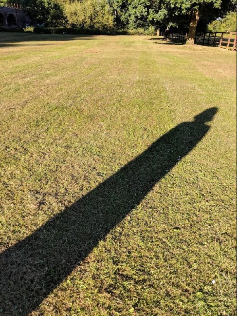30 divertido fotos de las sombras que se ven como algo más