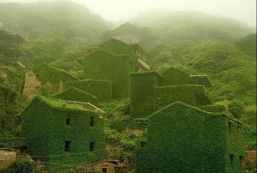 30 ejemplos de cómo la naturaleza de ganar la batalla contra la civilización