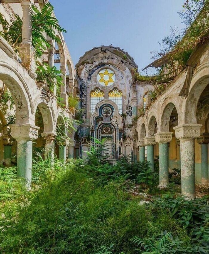 30 ejemplos de cómo la naturaleza de ganar la batalla contra la civilización