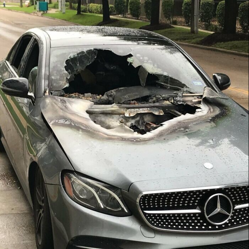 30 ejemplos de cómo se ve un mal día del propietario de un automóvil