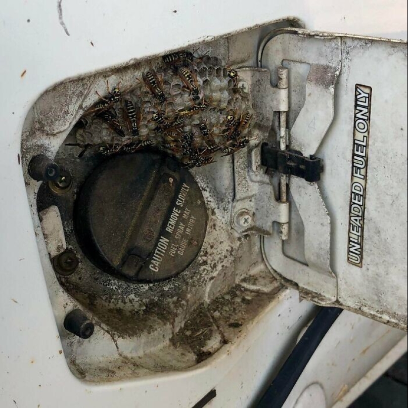 30 ejemplos de cómo se ve un mal día del propietario de un automóvil