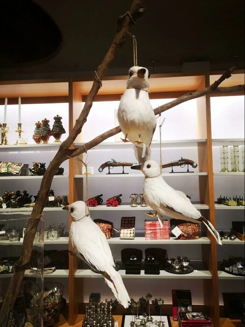 30 ejemplos de diseño pésimo que definitivamente te divertirán