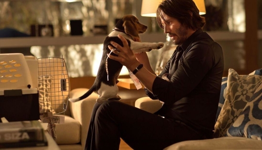 30 errors and cliches that the audience doesn't forgive the movies