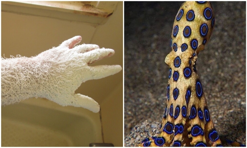 30 + evidencia fotográfica de lo increíble y diverso que es nuestro mundo