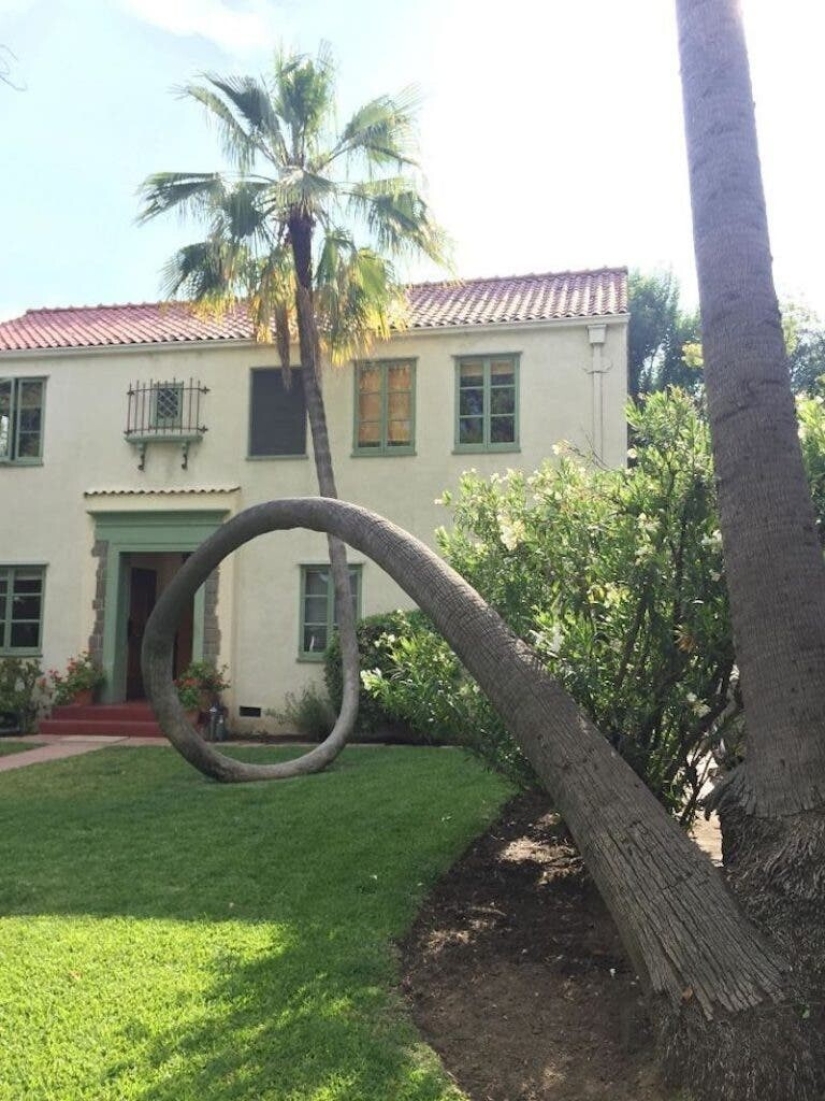 30 + evidencia fotográfica de lo increíble y diverso que es nuestro mundo