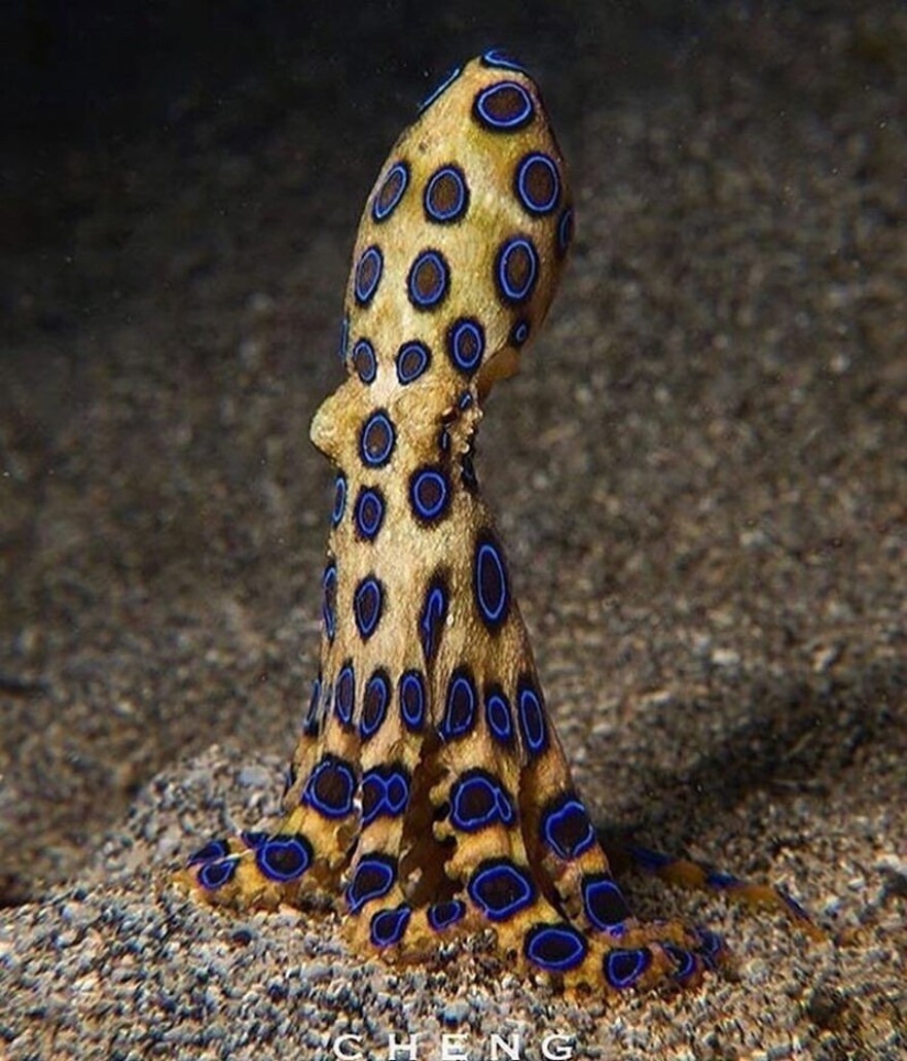 30 + evidencia fotográfica de lo increíble y diverso que es nuestro mundo