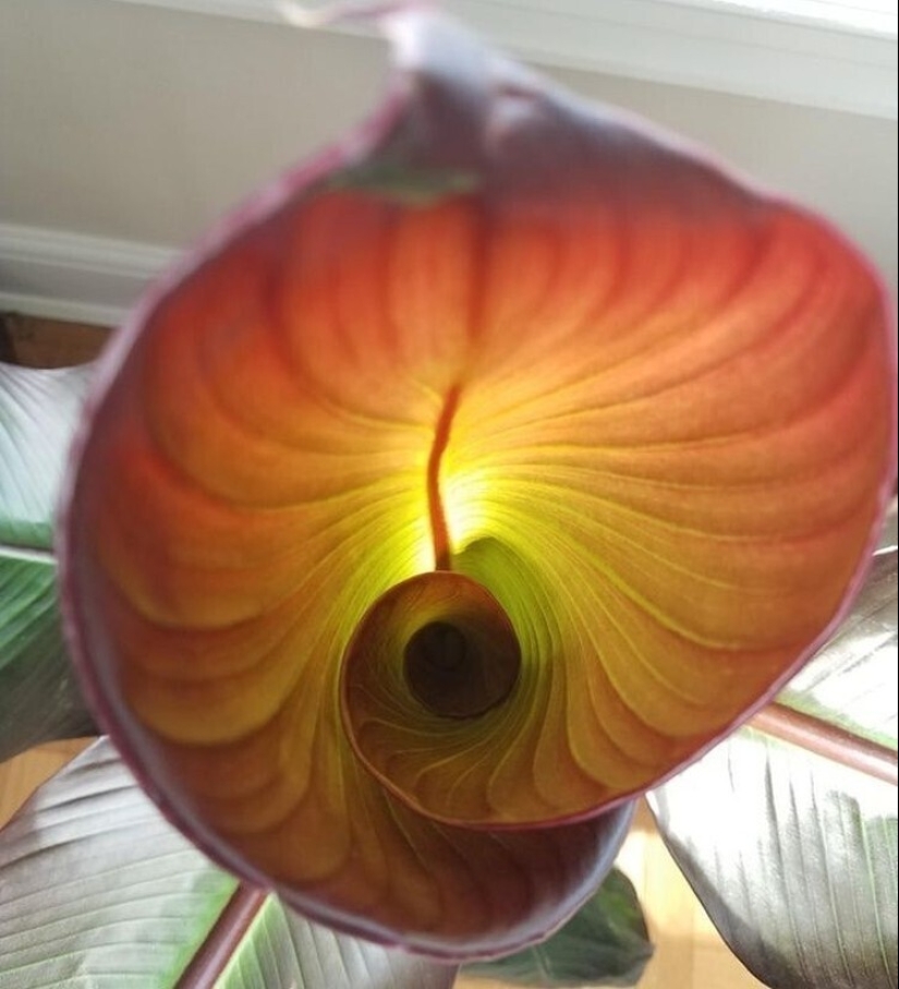 30 + evidencia fotográfica de lo increíble y diverso que es nuestro mundo