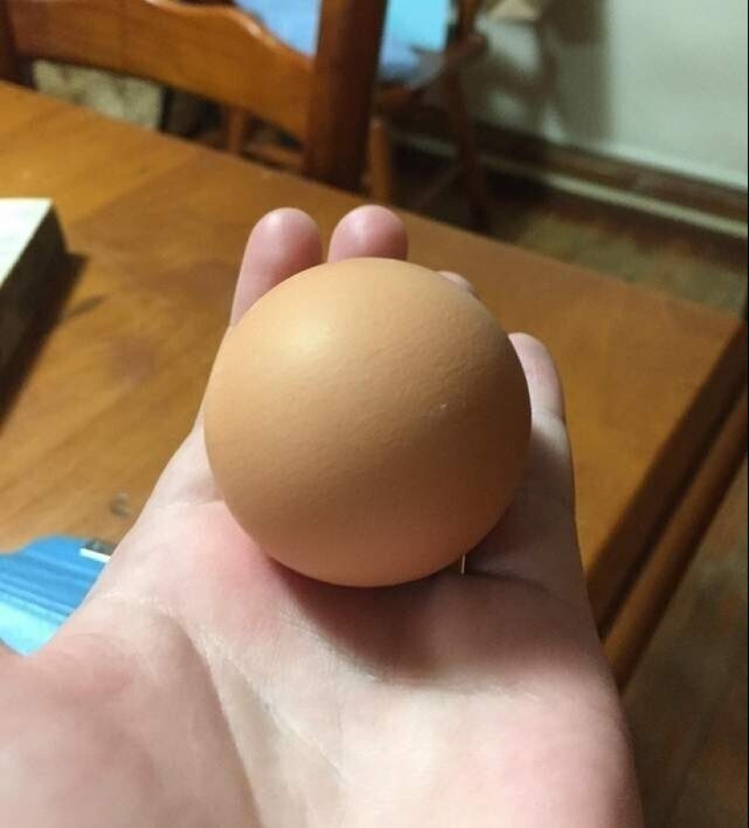 30 + evidencia fotográfica de lo increíble y diverso que es nuestro mundo