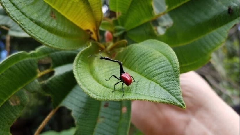 30 + evidencia fotográfica de lo increíble y diverso que es nuestro mundo