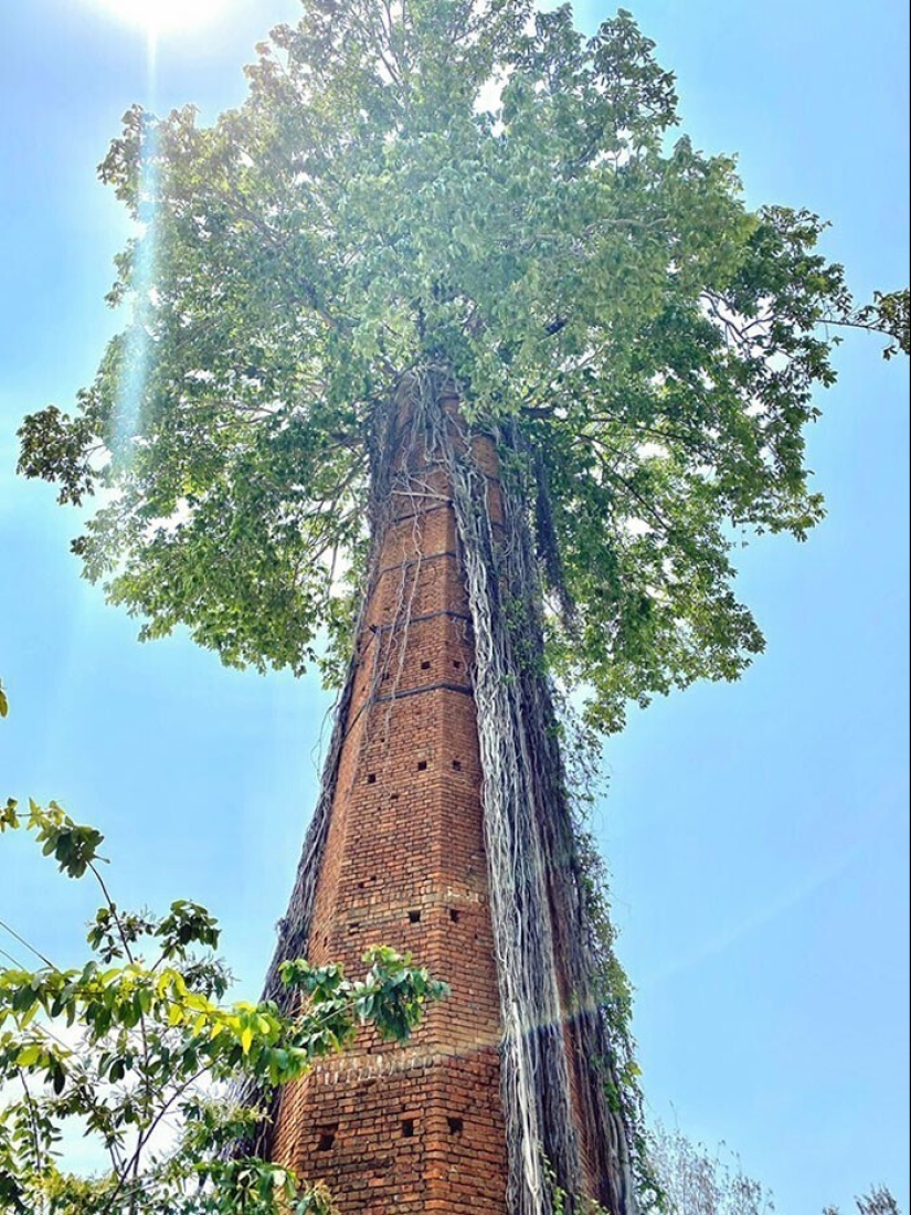 30 examples of how nature winning the battle against civilization