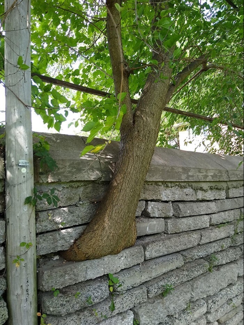 30 examples of how nature winning the battle against civilization