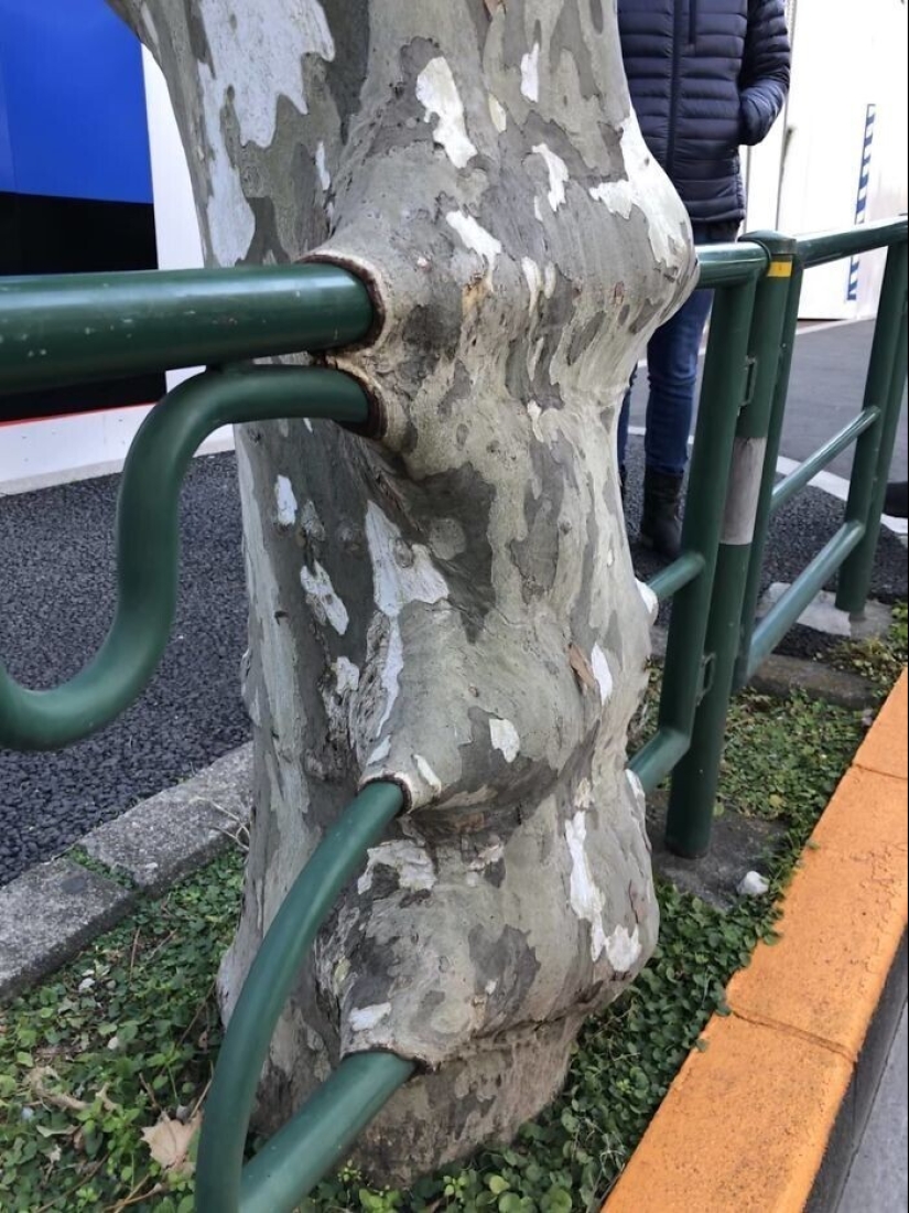 30 examples of how nature winning the battle against civilization