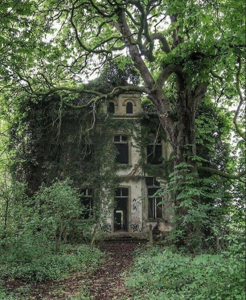 30 examples of how nature winning the battle against civilization