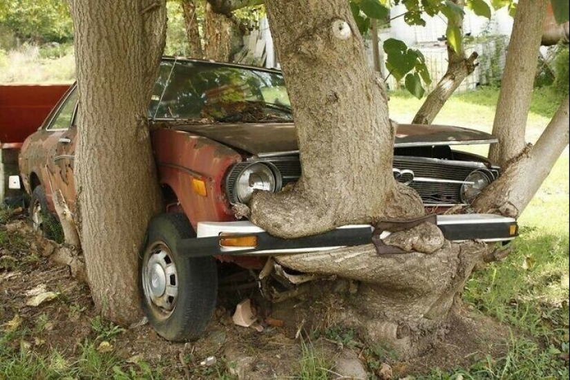 30 examples of how nature winning the battle against civilization