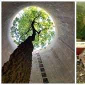 30 examples of how nature winning the battle against civilization 30 examples of how nature winning the battle against civilization
