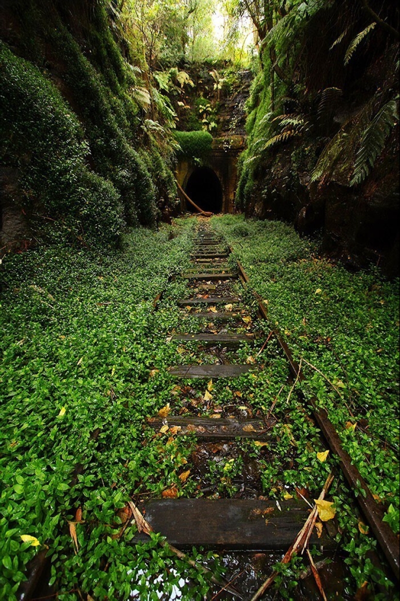 30 examples of how nature winning the battle against civilization