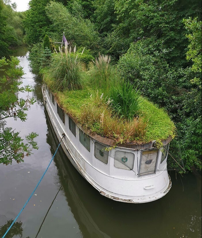 30 examples of how nature winning the battle against civilization