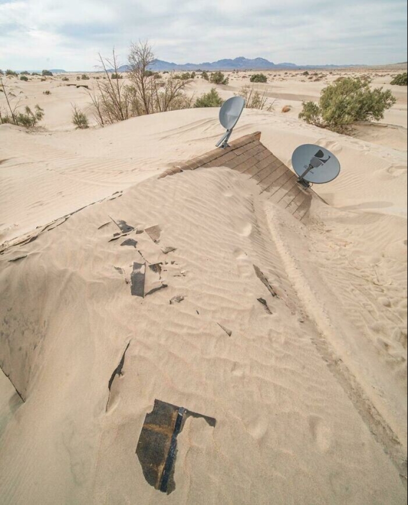 30 examples of how nature winning the battle against civilization