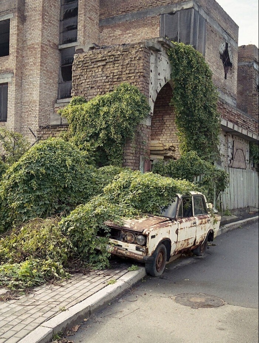 30 examples of how nature winning the battle against civilization