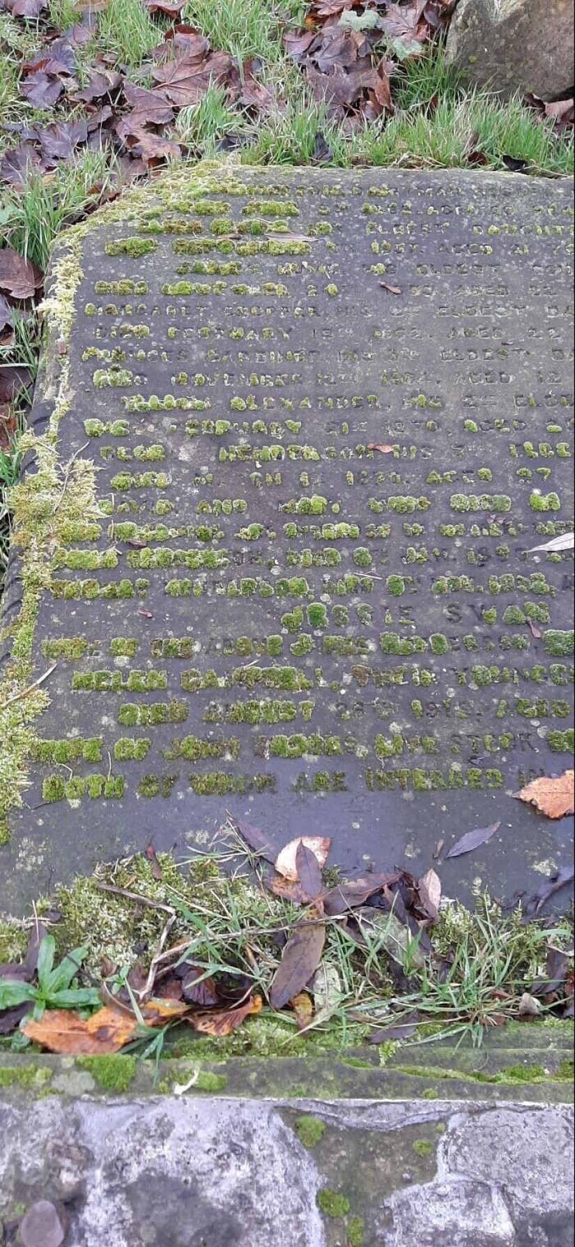 30 examples of how nature winning the battle against civilization