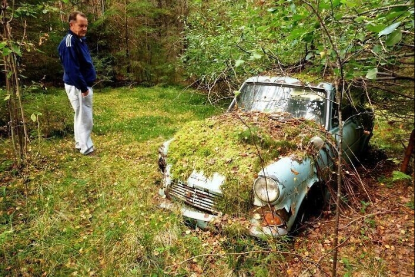 30 examples of how nature winning the battle against civilization