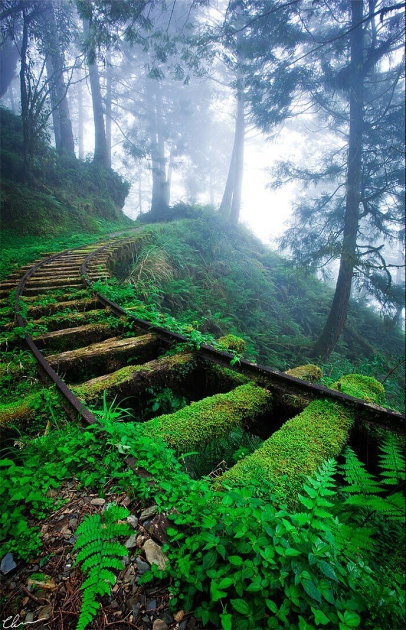 30 examples of how nature winning the battle against civilization
