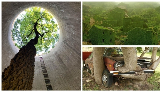 30 examples of how nature winning the battle against civilization