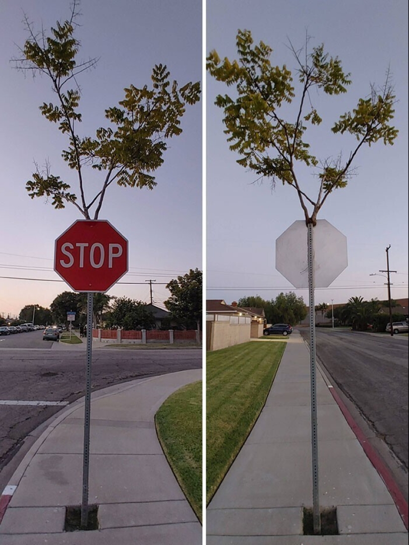 30 examples of how nature winning the battle against civilization