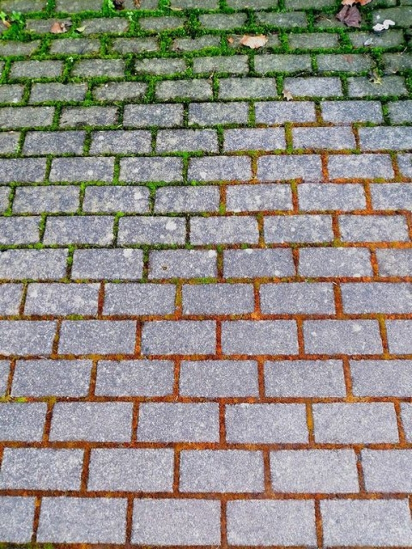 30 fotografías inusuales que demuestran que el mundo está lleno de misterios y cosas asombrosas 30 fotografías inusuales que demuestran que el mundo está lleno de misterios y cosas asombrosas