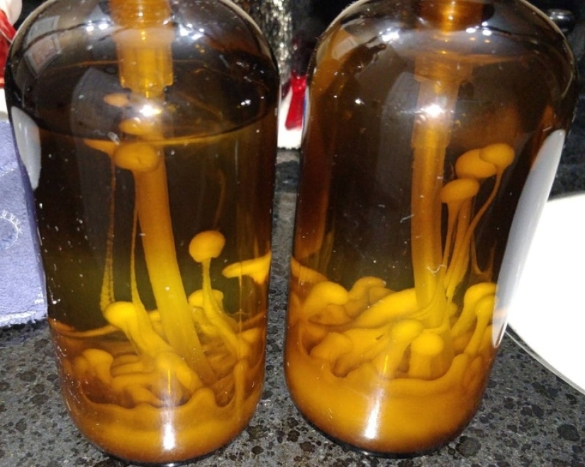 30 fotografías inusuales que demuestran que el mundo está lleno de misterios y cosas asombrosas 30 fotografías inusuales que demuestran que el mundo está lleno de misterios y cosas asombrosas