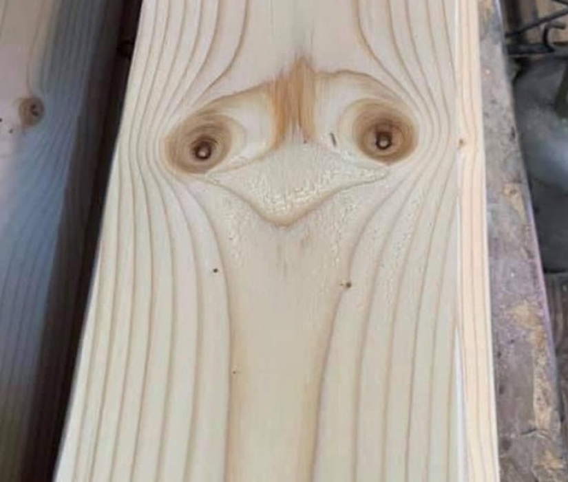 30 fotografías inusuales que demuestran que el mundo está lleno de misterios y cosas asombrosas 30 fotografías inusuales que demuestran que el mundo está lleno de misterios y cosas asombrosas