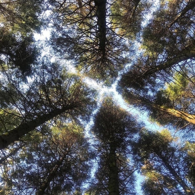 30 fotografías inusuales que demuestran que el mundo está lleno de misterios y cosas asombrosas 30 fotografías inusuales que demuestran que el mundo está lleno de misterios y cosas asombrosas